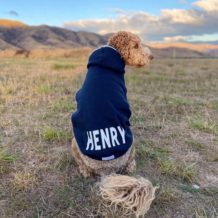 dog wearing a hoodie with his name in white across the back