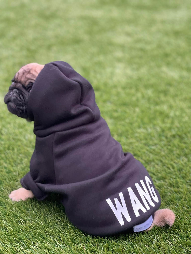dog wearing a hoodie with his name in white across the back