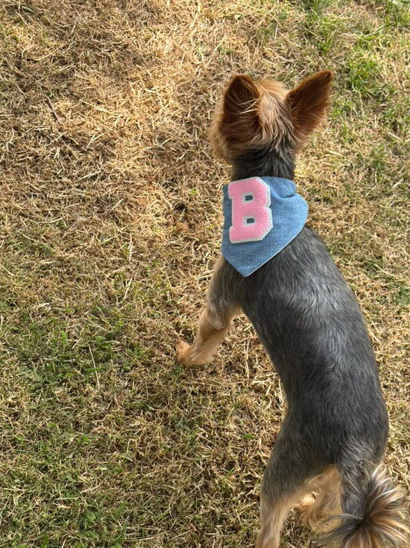Bandana - Torrance Pink