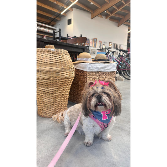 Bandana - Torrance Glitter Pink