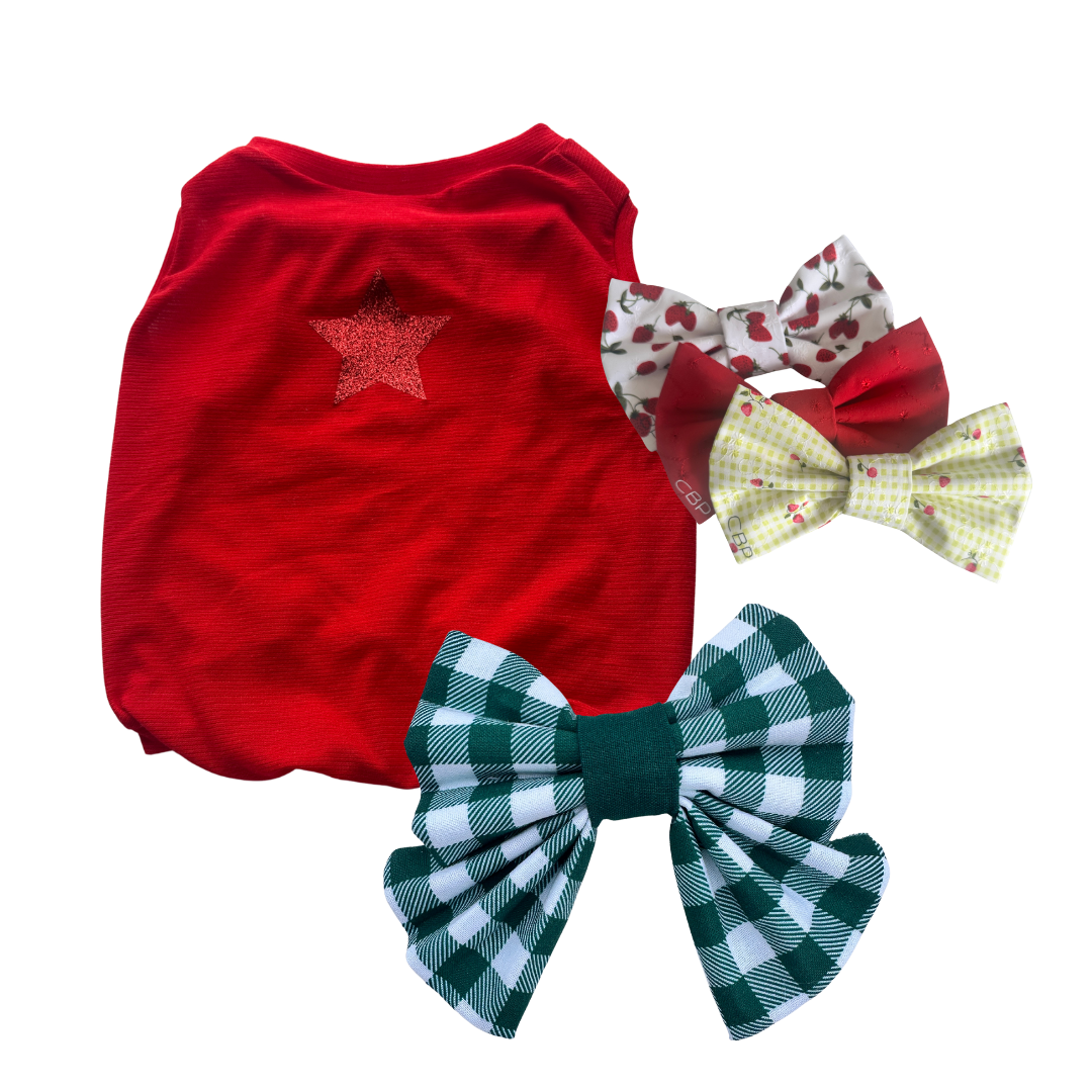 Christmas Bundle - Forrest