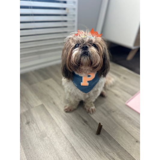Bandana - Torrance Glitter Orange