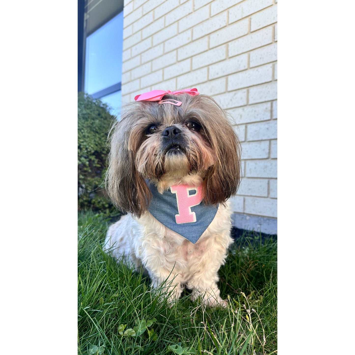 Bandana - Torrance Pink