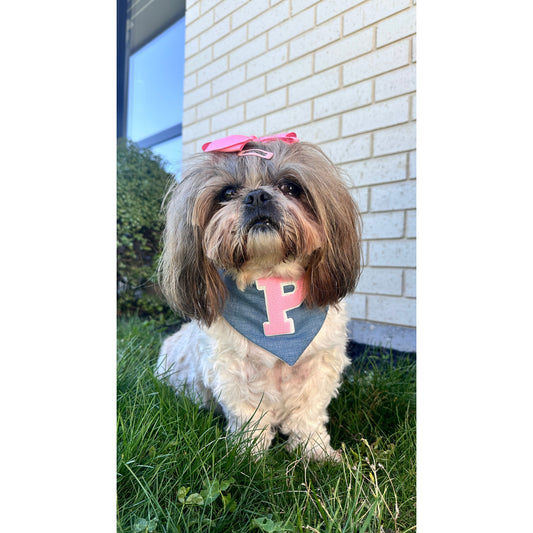 Bandana - Torrance Glitter Dark Green