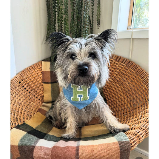 Bandana - Torrance Glitter Green