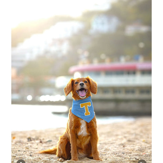 Bandana - Torrance Glitter Gold