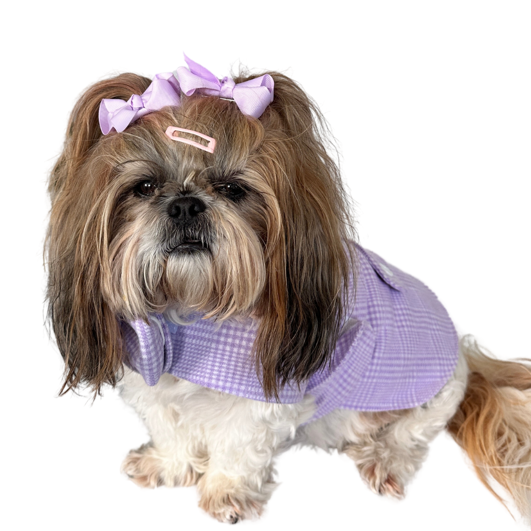 lavender wool dog coat modelled by shihtzu