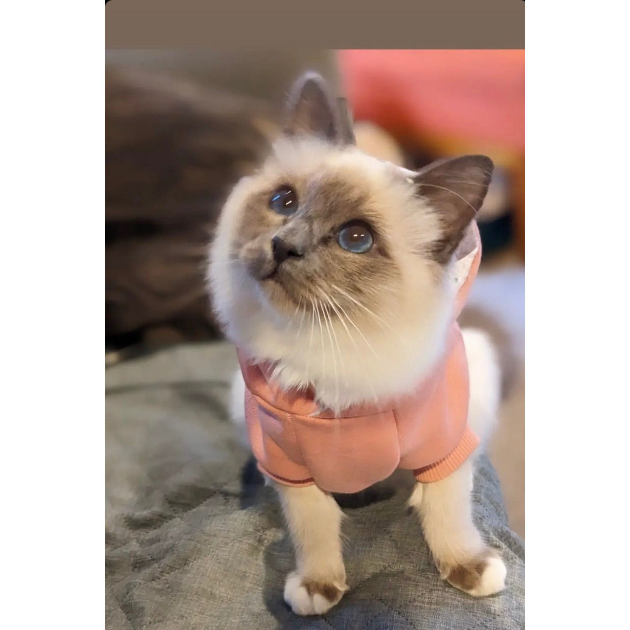 Hoodie - Henry Rose Pink