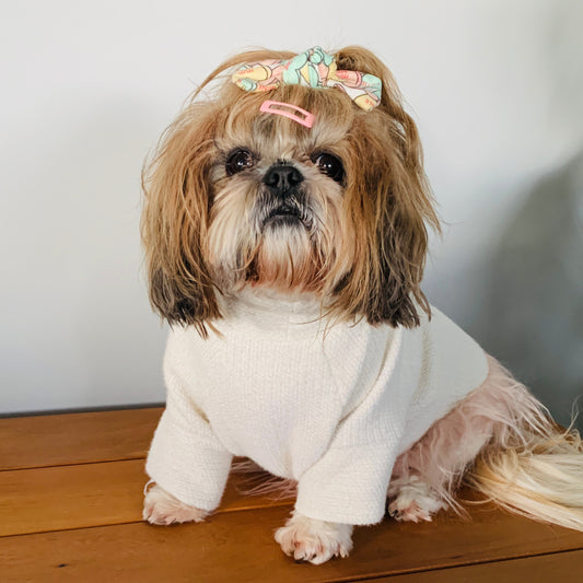 shihtzu dog model wearing a cream and fur wool jumper