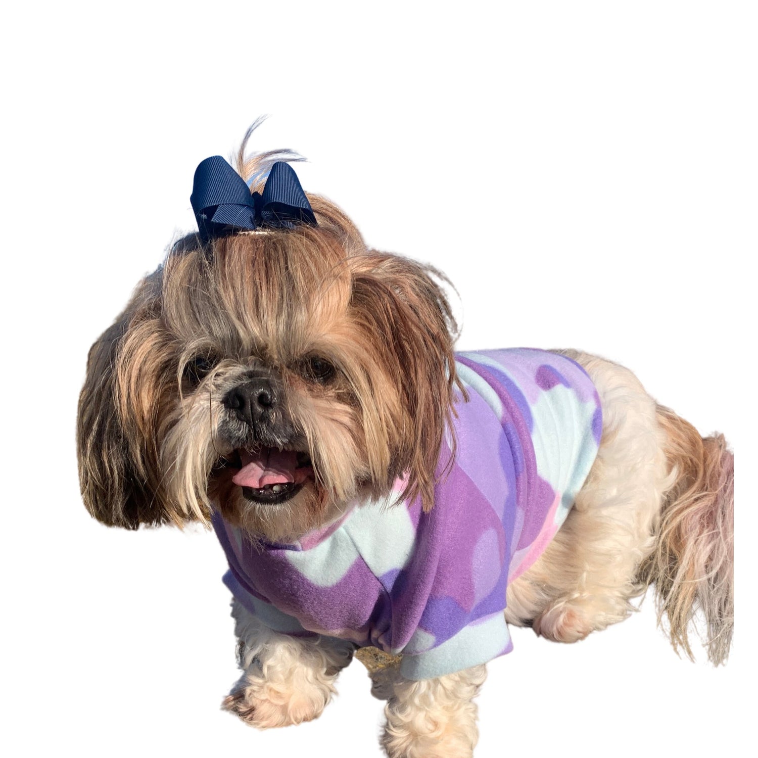 Shihtzu wearing purple camo top