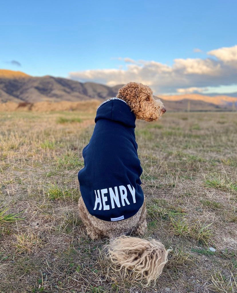 labradoodle wearing a navy hoodie with his name in white on the back