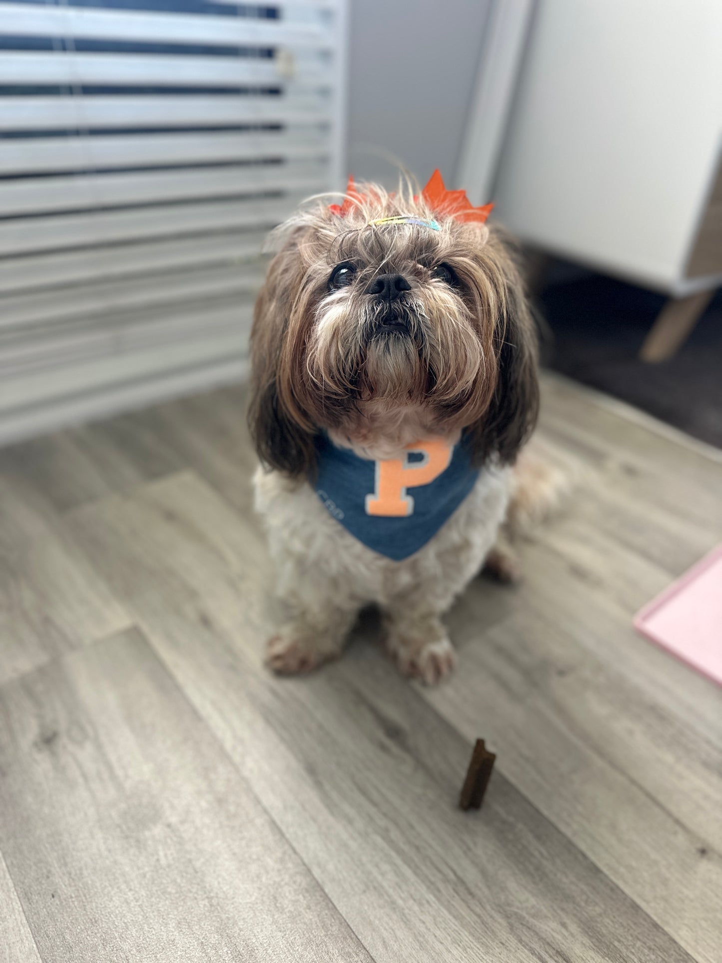 Bandana - Torrance Glitter Orange