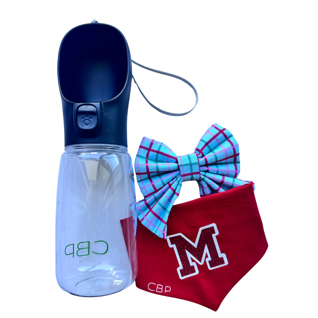 Christmas Bundle - Celeste