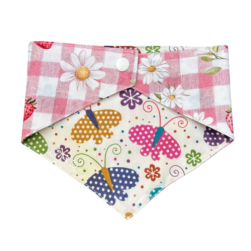 Bandana - Gigi