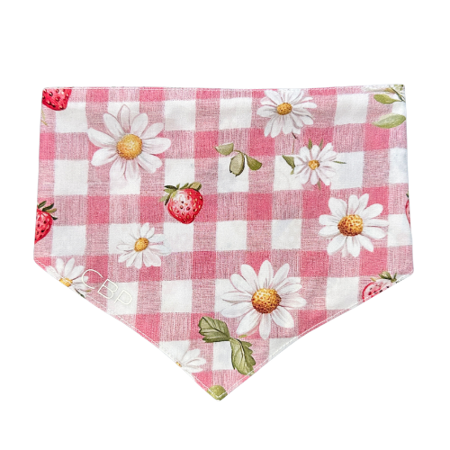Bandana - Gigi