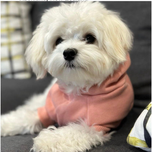 Hoodie - Henry Rose Pink
