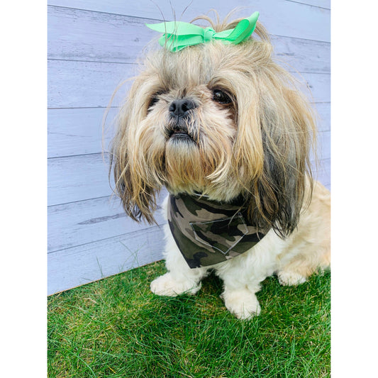 Bandana - Raid