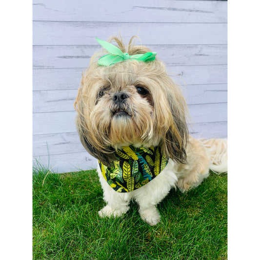 Portia, shihtzu dog model wearing various leafy green fabric dog bandana with black background made in New Zealand
