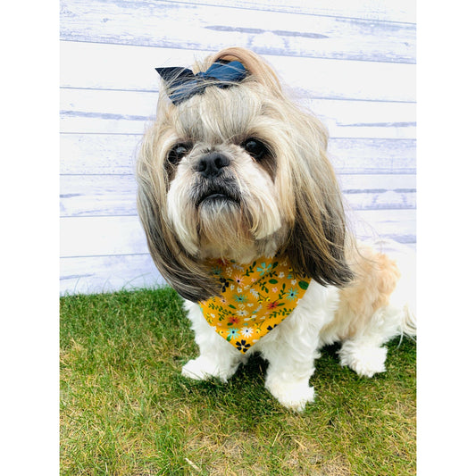 Portia shihtzu dog model wearing mustard floral print dog bandana made in NZ
