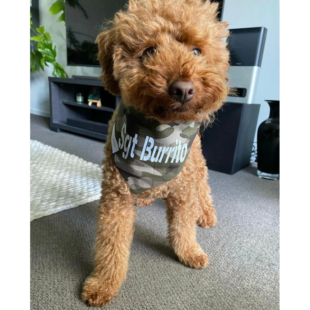 toy poodle dog wearing camo personalised bandana