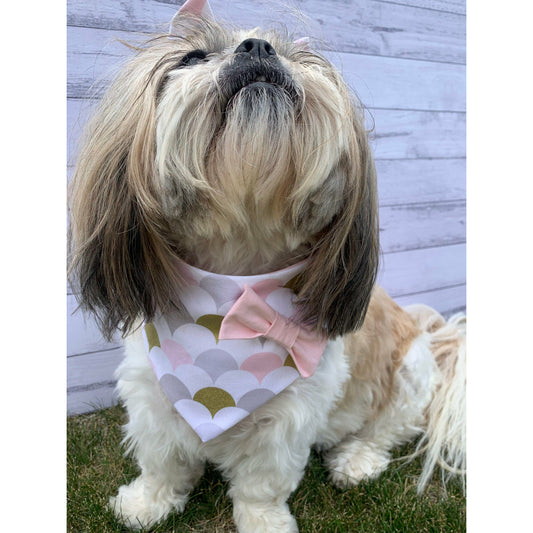 Portia, shihtzu model wearing white, grey, peach and gold scallop print fabric dog bandana with pink bow made in New Zealand