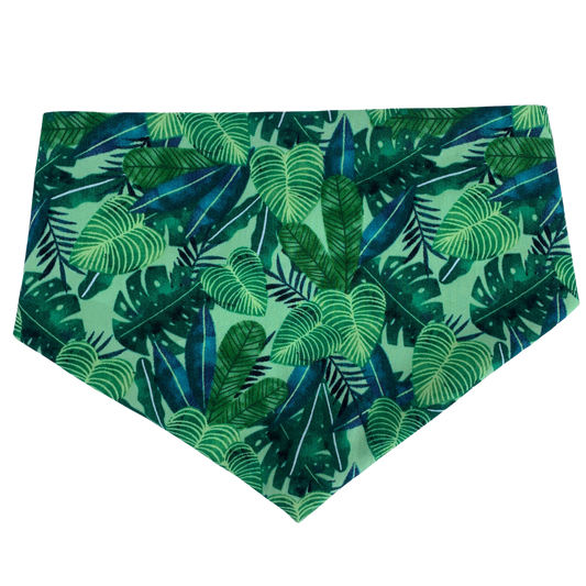 bright  green leaf print dog bandana made in NZ
